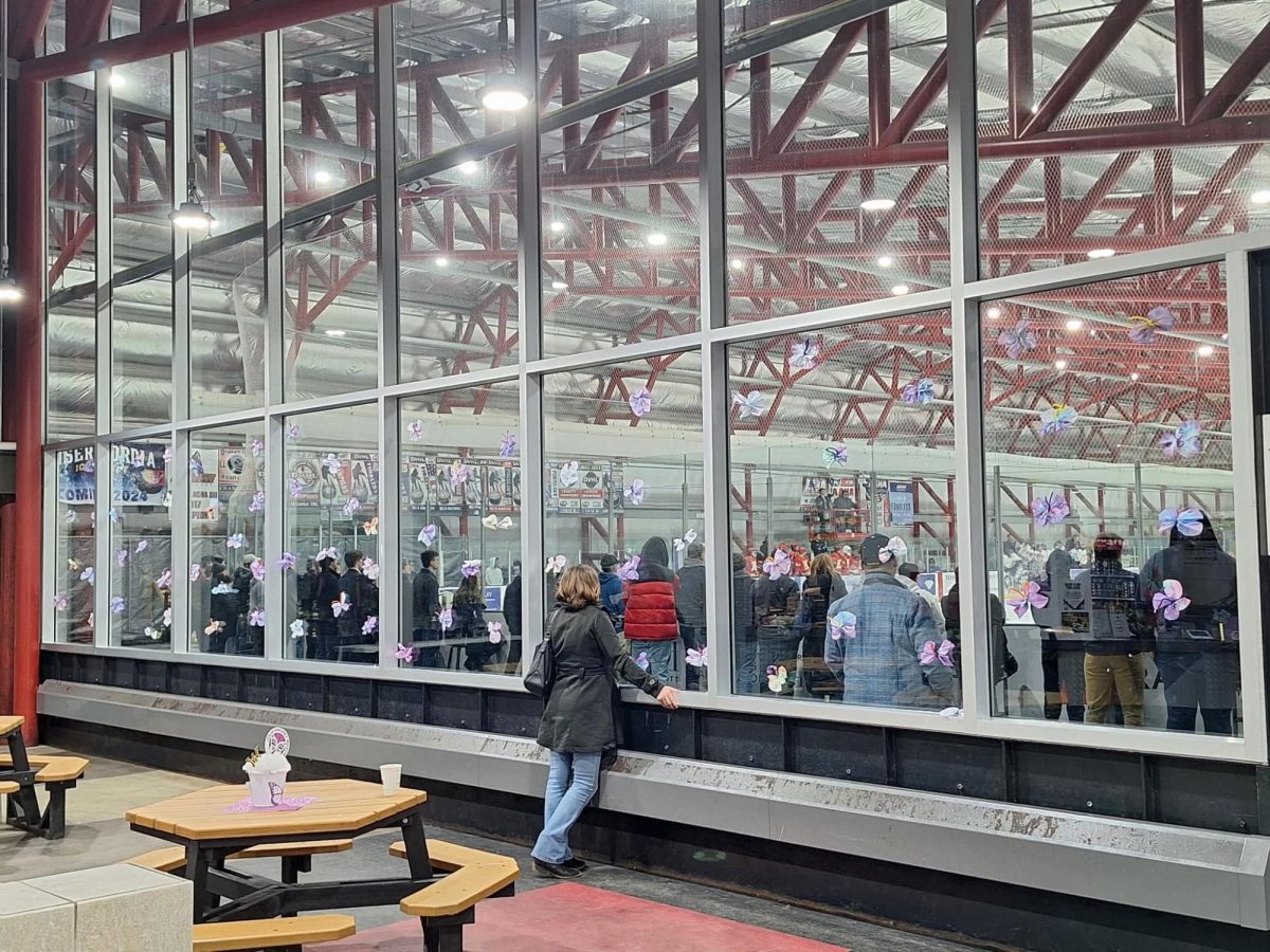 Dozens of handmade butterflies line the walls of the rink.