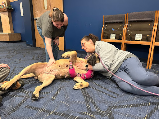 Gretchen Yeninas plays with Cuda the dog.